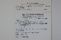 松田氏莢迷、宜昌莢迷藏品圖，第2張