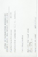 雙輪瓜藏品圖，第2張