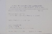 曲莖馬藍藏品圖，第2張