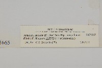 臺灣鬼督郵藏品圖，第3張