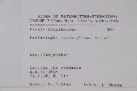 長花九頭獅子草、山藍藏品圖，第2張
