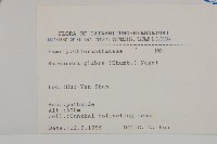 草珊瑚、紅果金粟蘭藏品圖，第2張