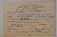 忍冬、金銀花藏品圖，第2張