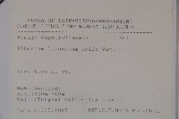 呂宋莢迷藏品圖，第2張