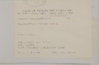 臺灣及己藏品圖，第2張