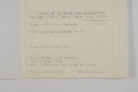 臺灣及己藏品圖，第2張