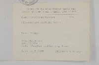 臺灣及己藏品圖，第2張