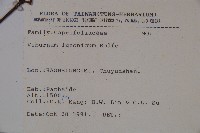 呂宋莢迷藏品圖，第2張