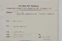 抱莖籟簫藏品圖，第2張