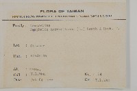 抱莖籟簫藏品圖，第2張