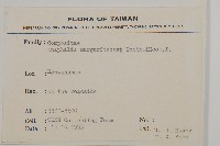 抱莖籟簫藏品圖，第2張