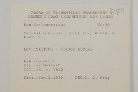 抱莖籟簫藏品圖，第2張