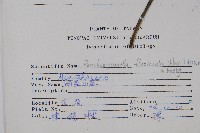 曲莖馬藍藏品圖，第2張