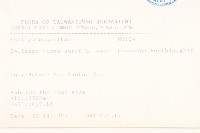 一枝黃花藏品圖，第2張