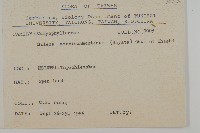 玉山蠅子草藏品圖，第2張