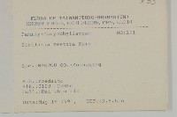 疏花繁縷藏品圖，第2張