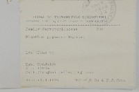 玉山石竹藏品圖，第2張