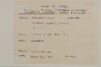 玉山石竹藏品圖，第2張