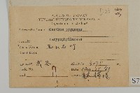 玉山石竹藏品圖，第2張