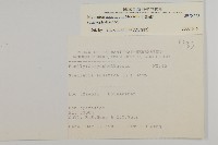 牛繁縷藏品圖，第2張