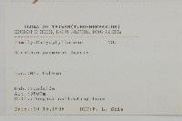 玉山石竹藏品圖，第2張