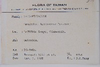 蘭嶼牛皮消、蘭嶼白薇藏品圖，第2張