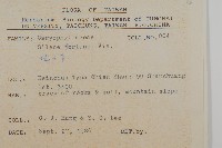 蠅子草藏品圖，第2張