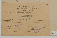 玉山石竹藏品圖，第2張