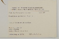 玉山石竹藏品圖，第2張