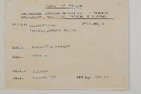 玉山石竹藏品圖，第2張