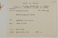 玉山石竹藏品圖，第2張