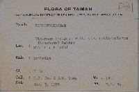 狹葉莢迷藏品圖，第2張