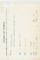 黑果馬交兒藏品圖，第2張