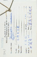 王瓜藏品圖，第2張