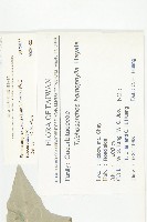 茅瓜藏品圖，第2張