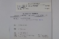 樺葉莢迷、玉山莢迷藏品圖，第2張