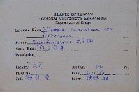 紅子莢迷藏品圖，第2張