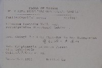 狹葉莢迷藏品圖，第2張