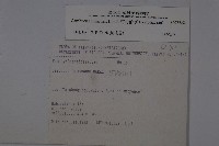 冇骨消藏品圖，第2張