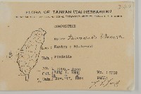 臺灣馬蘭藏品圖，第2張