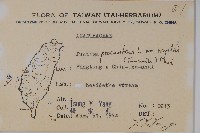 早田氏爵床藏品圖，第2張