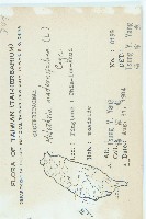 倒吊金鐘、天花藏品圖，第2張
