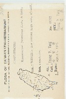 薯豆藏品圖，第2張