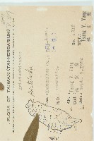 茅瓜藏品圖，第2張