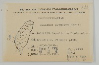 玉山石竹藏品圖，第4張