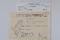 普刺特草藏品圖，第2張