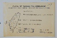 細梗絡石藏品圖，第2張