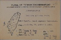 忍冬、金銀花藏品圖，第2張