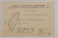 瓜槌草、漆姑草藏品圖，第2張