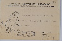 針刺草藏品圖，第2張